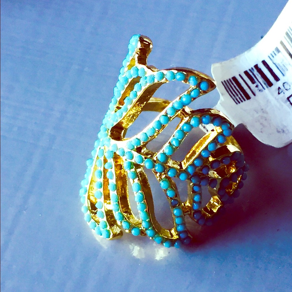 🌿Charming Charlie Turquoise Ring🌿